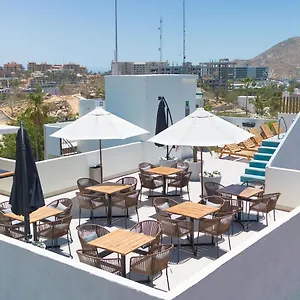 Colmena Marina Cabos Cabo San Lucas