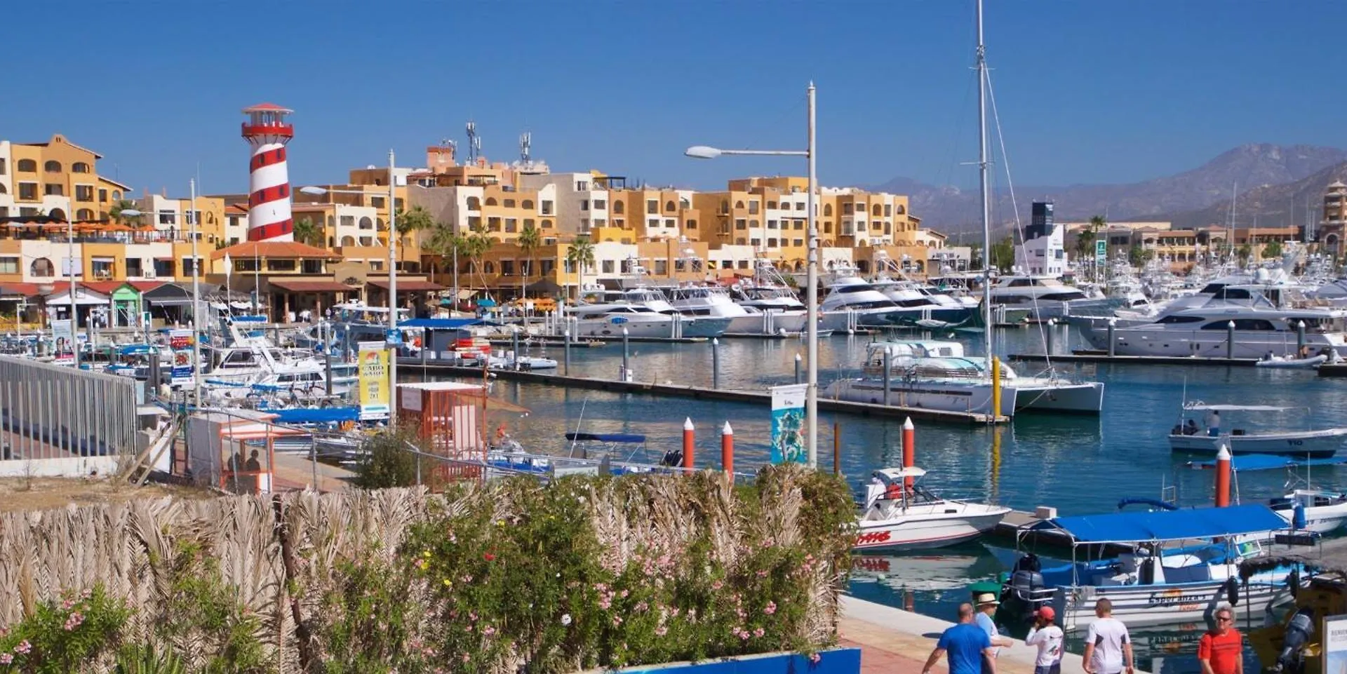 Sunny Beach Suites Cabo San Lucas Hotel apartamentowy